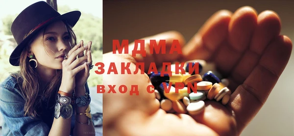 шишки Дмитриев