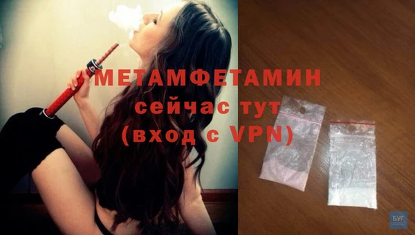 шишки Дмитриев
