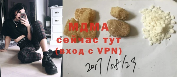 шишки Дмитриев