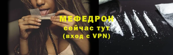 мдпв Гусь-Хрустальный