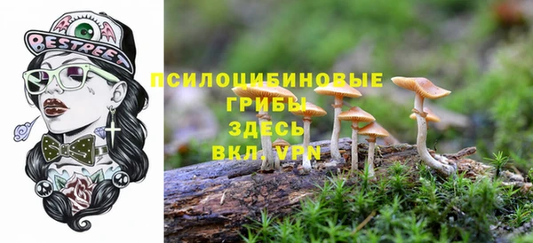 МДПВ Дмитров