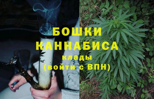 мдпв Гусь-Хрустальный